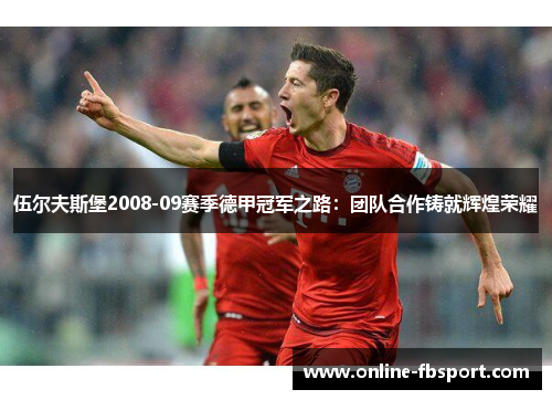 伍尔夫斯堡2008-09赛季德甲冠军之路：团队合作铸就辉煌荣耀